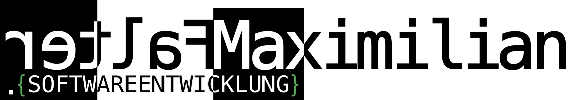 Logo Maximilian Falter